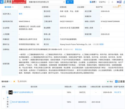 科大訊飛在西藏布局 新公司含多項AI業務，人工智能應用迎來區域新范例